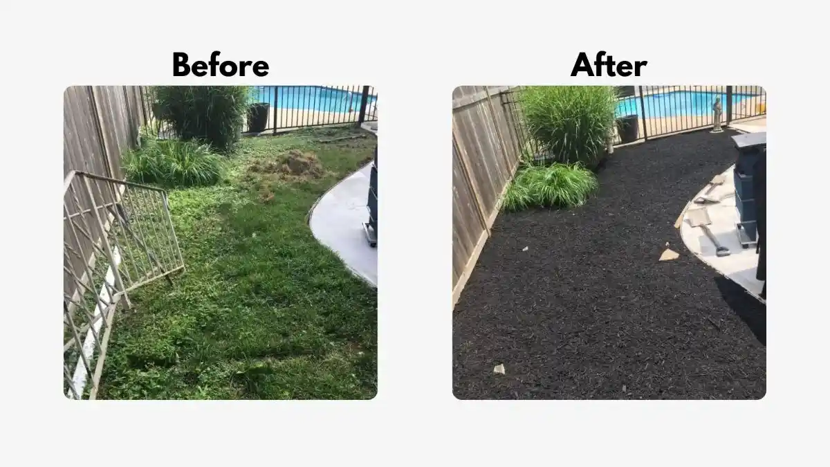 Before and after comparison of a backyard cleared of weeds and finished with fresh black mulch by Green Harmony Landscaping.