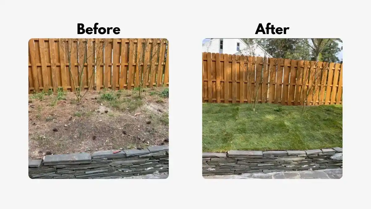 Before and after comparison of a backyard transformed from patchy soil into a healthy, newly installed sod lawn by Green Harmony Landscaping.